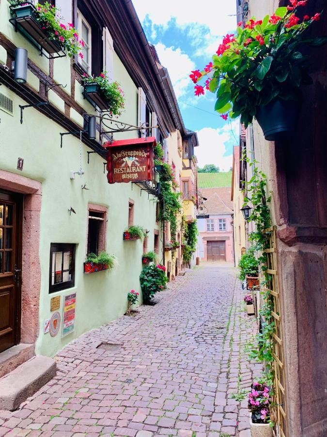 La Ruelle Alsacienne, Charme Alsacien Et Confort Moderne ريكفيهر المظهر الخارجي الصورة